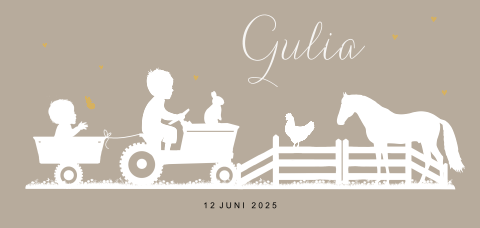 Geboortekaartje meisje 2e kindje met tractor en baby hekje
