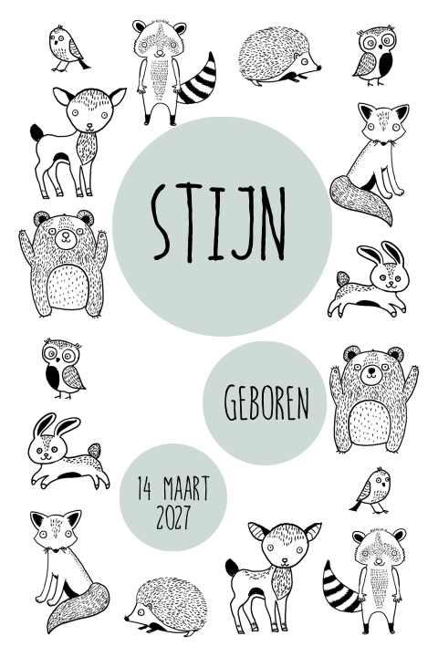 Handgetekende Geboortekaartje Dieren jongen