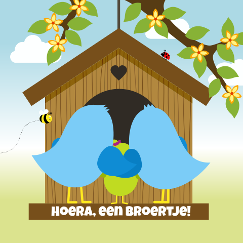Grappig geboortekaartje jongen en zus in vogelhuisje