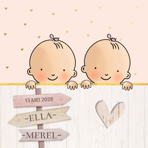 Geboortekaartje baby tweeling getekend 2 meisjes