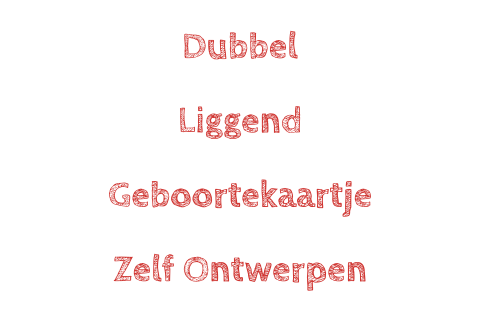 Liggend dubbel geboortekaartje ontwerpen