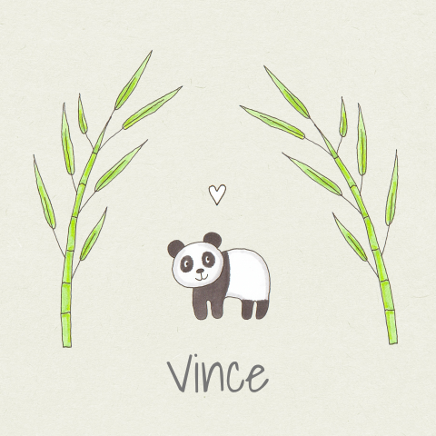 Geboortekaartje jongen panda bamboe hart