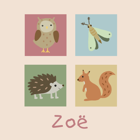 Geboortekaartje meisje met dieren op vlakken