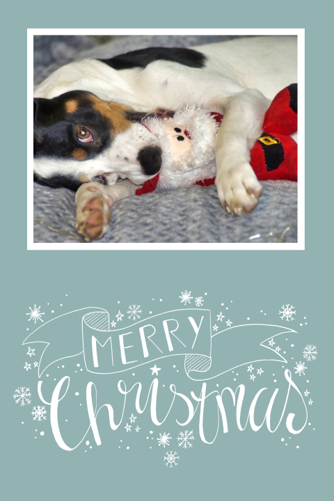 Kerstkaart foto hond handlettering sneeuw sterren