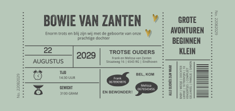 Ticket geboortekaartje groen voor jongen of meisje