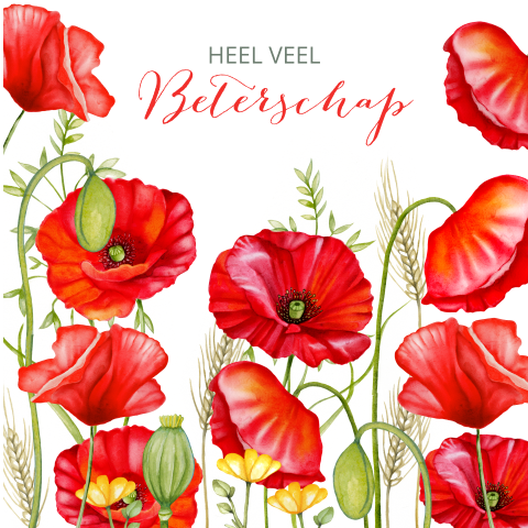 Wenskaart beterschap met rode klaprozen