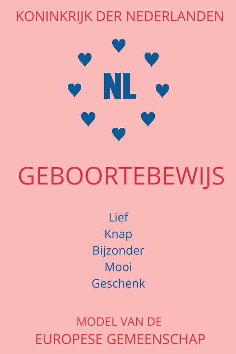Grappig geboortekaartje in de vorm van een rijbewijs