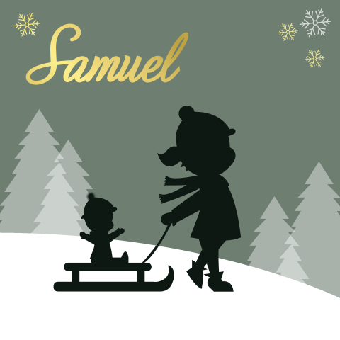 Geboortekaartje silhouet 2e kindje sneeuw slee 