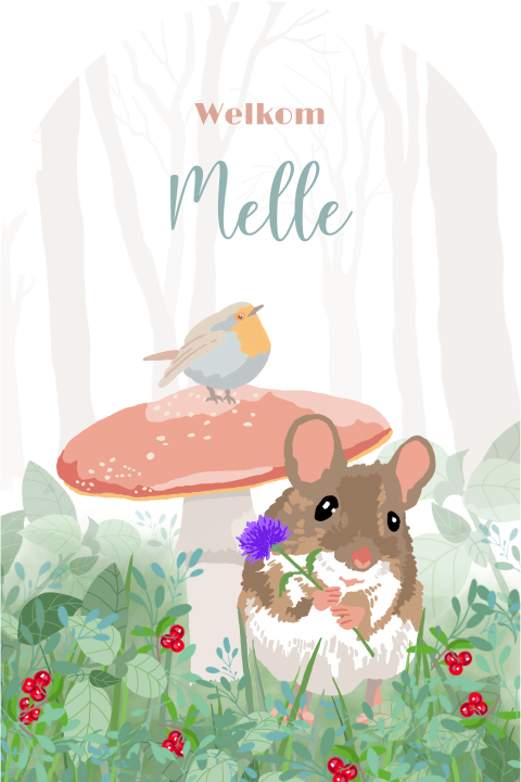 Geboortekaartje voor een jongetje met muisje met bloem