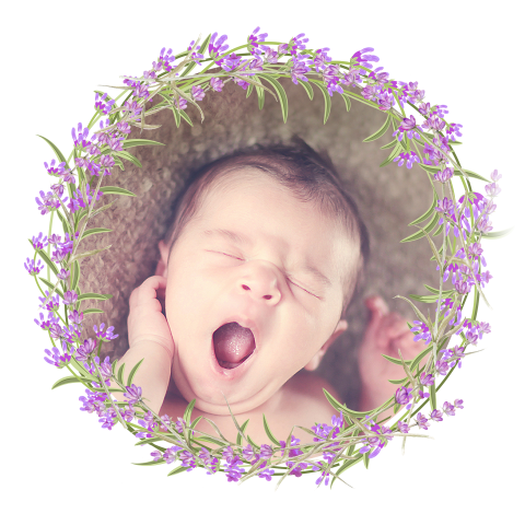 Geboortekaartje voor een meisje in ronde vorm met lavendel