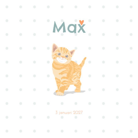 Geboortekaartje voor een jongetje met lief getekende kitten