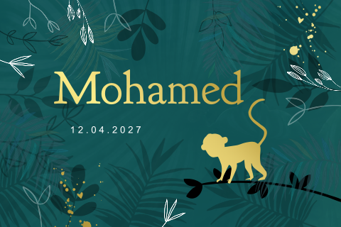 Enkele liggende geboortekaartje Mohamed jongen arabisch goudfolie
