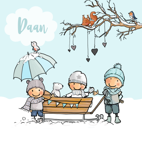 Geboortekaartje zoon 3e kindje in de winter