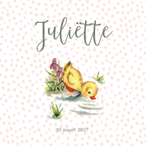 Retro geboortekaartje meisje met retro eendje