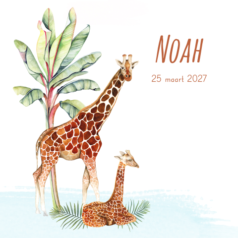 Lief geboortekaartje voor een jongen met 2 giraffen