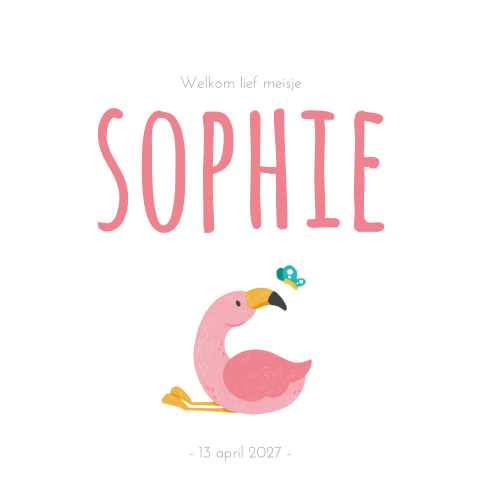 Geboortekaartje meisje met flamingo