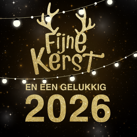 Kerstkaart met lichtslinger en gewei