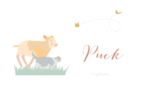Geboortekaartje schaap en poes unisex met lammetje en vriendjes