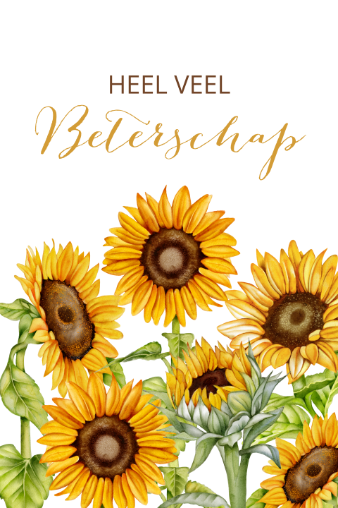Beterschapskaart met zonnebloemen