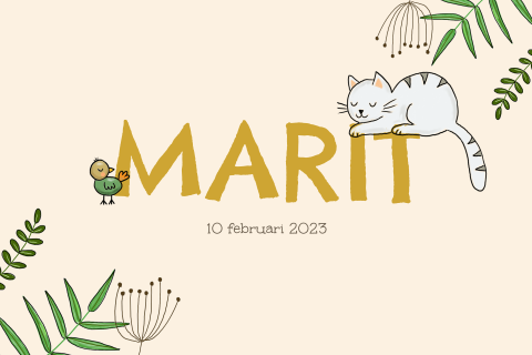 Geboortekaartje meisje met kat en vogel op naam