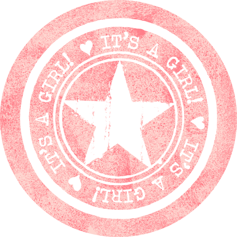 Stoere sluitzegel stempel sticker it's a girl ster