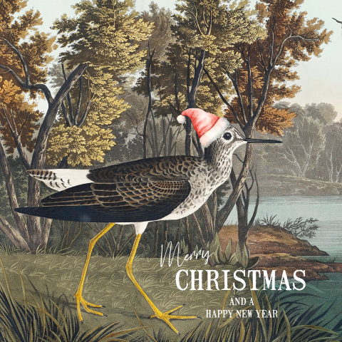 Kerstkaart met vogel en landschap