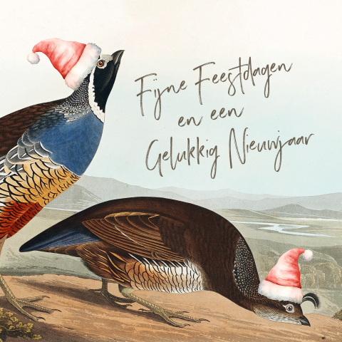 Grappige kerstkaart met vintage vogels