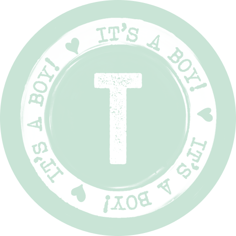 Sluitzegel sticker it's a boy stempel mint groen initiaal