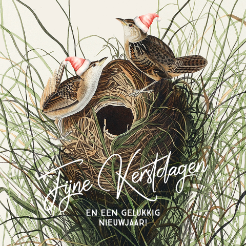 Vintage kerstkaart met vogels en kerstmutsen