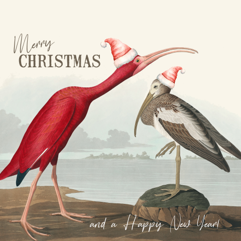 Grappige kerstkaarten vintage vogels met kerstmutsen