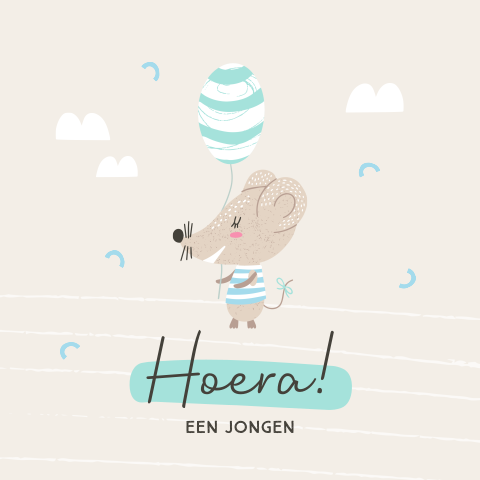 Felicitatiekaart geboorte zoon lief muisje