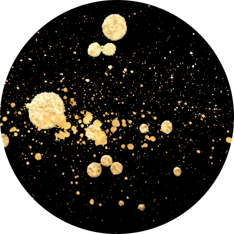 Chique stickers zelf maken zwart goud effect