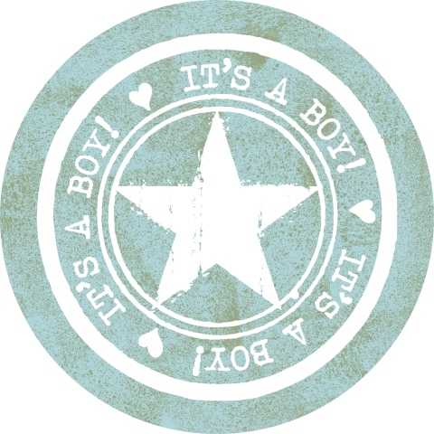 Stoere sluitzegel sticker it's a boy met een ster stempel