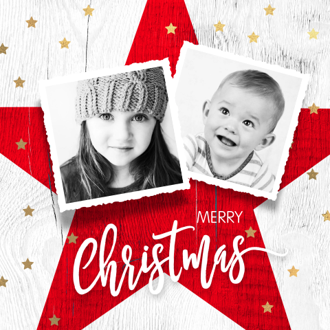 Kerstkaart rode kerstster foto's