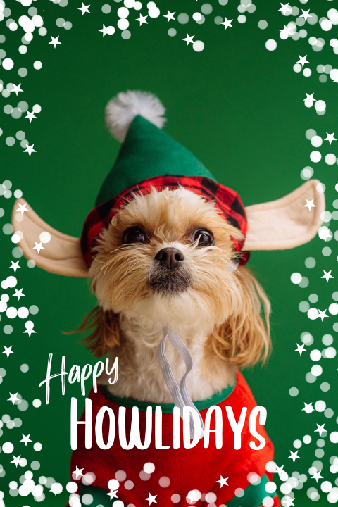 Kerstkaart met hond foto
