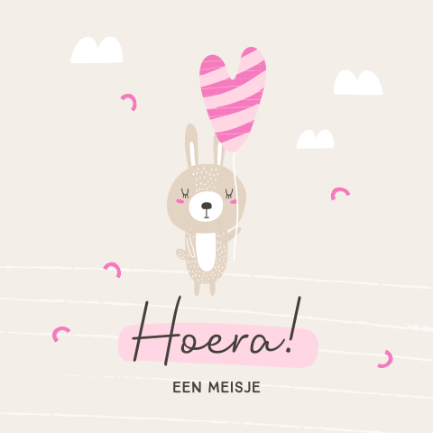 Felicitatiekaart geboorte dochter lief konijn