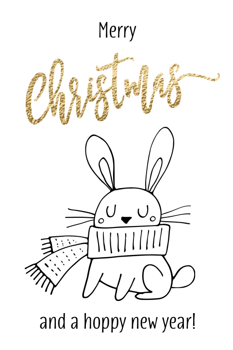 Grappige kerstkaart konijn Hoppy Holidays