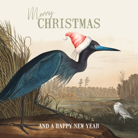 Grappige vintage kerstkaarten met vogel illustratie