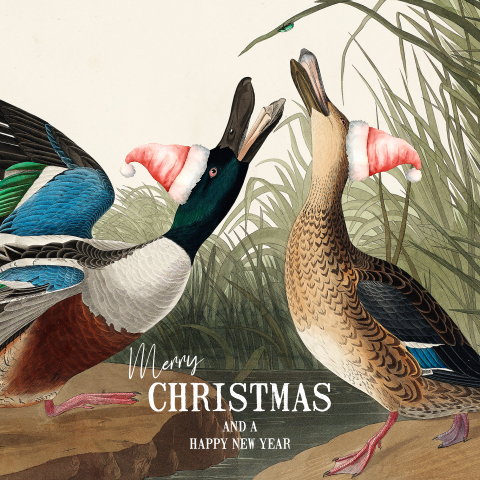 Grappige kerstkaart lachende vintage eenden met kerstmutsen