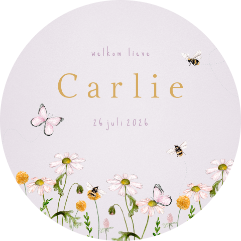 Raamsticker lila veldbloemen vlinder bijtje