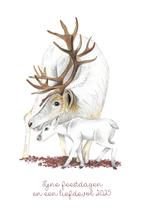 Kerstkaart Eland handgetekend