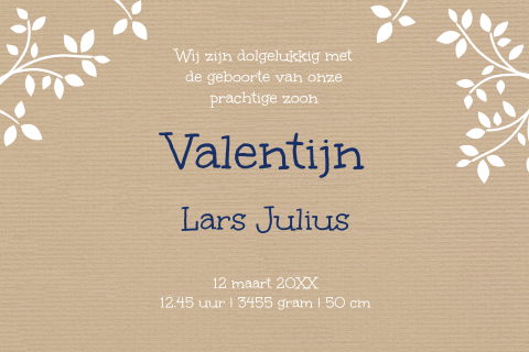 Kaart binnenkant