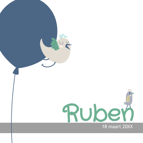 Lief geboortekaartje met vogeltjes en ballonnen