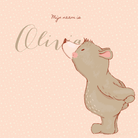 Schattig geboortekaartje met beer