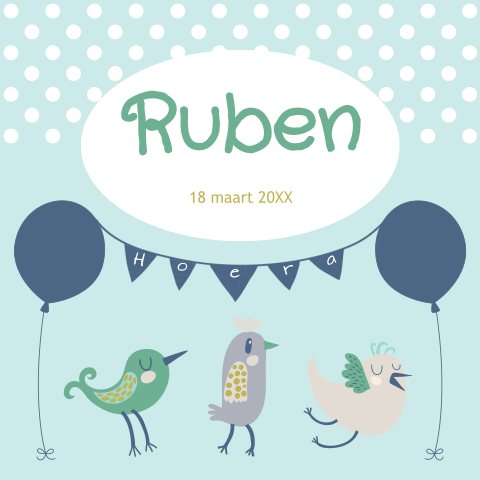 Lief geboortekaartje met vogels en ballonnen