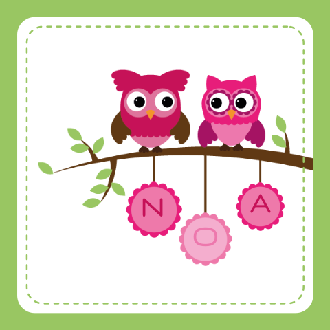 Geboortekaartje met uiltjes in roze en groen