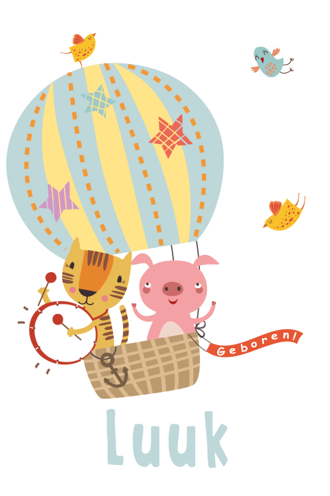 Geboortekaartje met luchtballon
