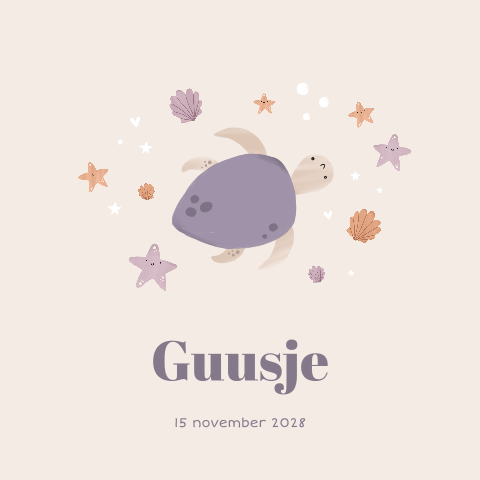 Geboortekaartje dubbel met schildpadje en schelpen