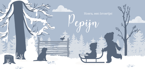 Geboortekaartje winter met sneeuw slee broertje