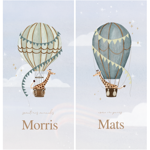 Geboortekaart tweeling jongens met luchtballonnen